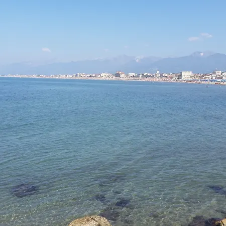 فندق مبيت وإفطار Burlamacco Gold فياريجيو